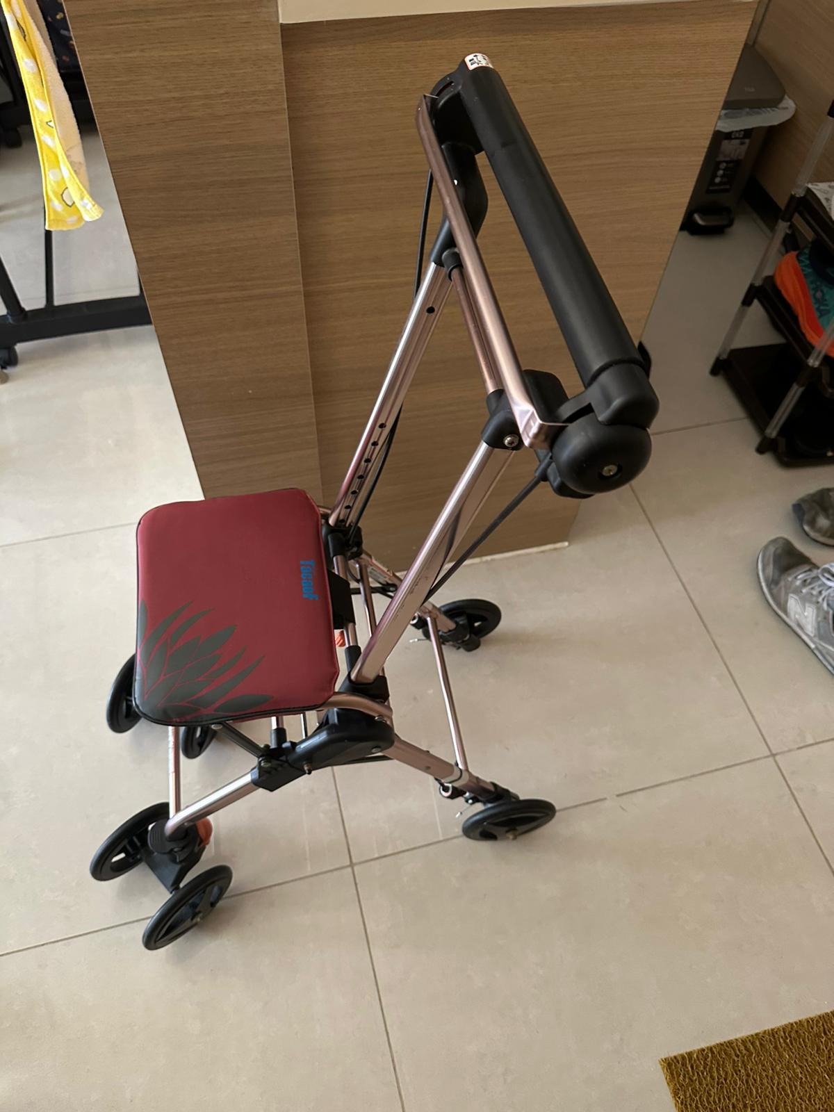 (二手)助推車_輕微使用痕跡(原價$1000) - 天天代步