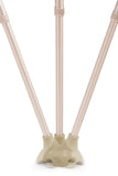 台灣品牌 Merry Sticks 人體工學拐杖 - 香檳金 (右手用) - 天天代步